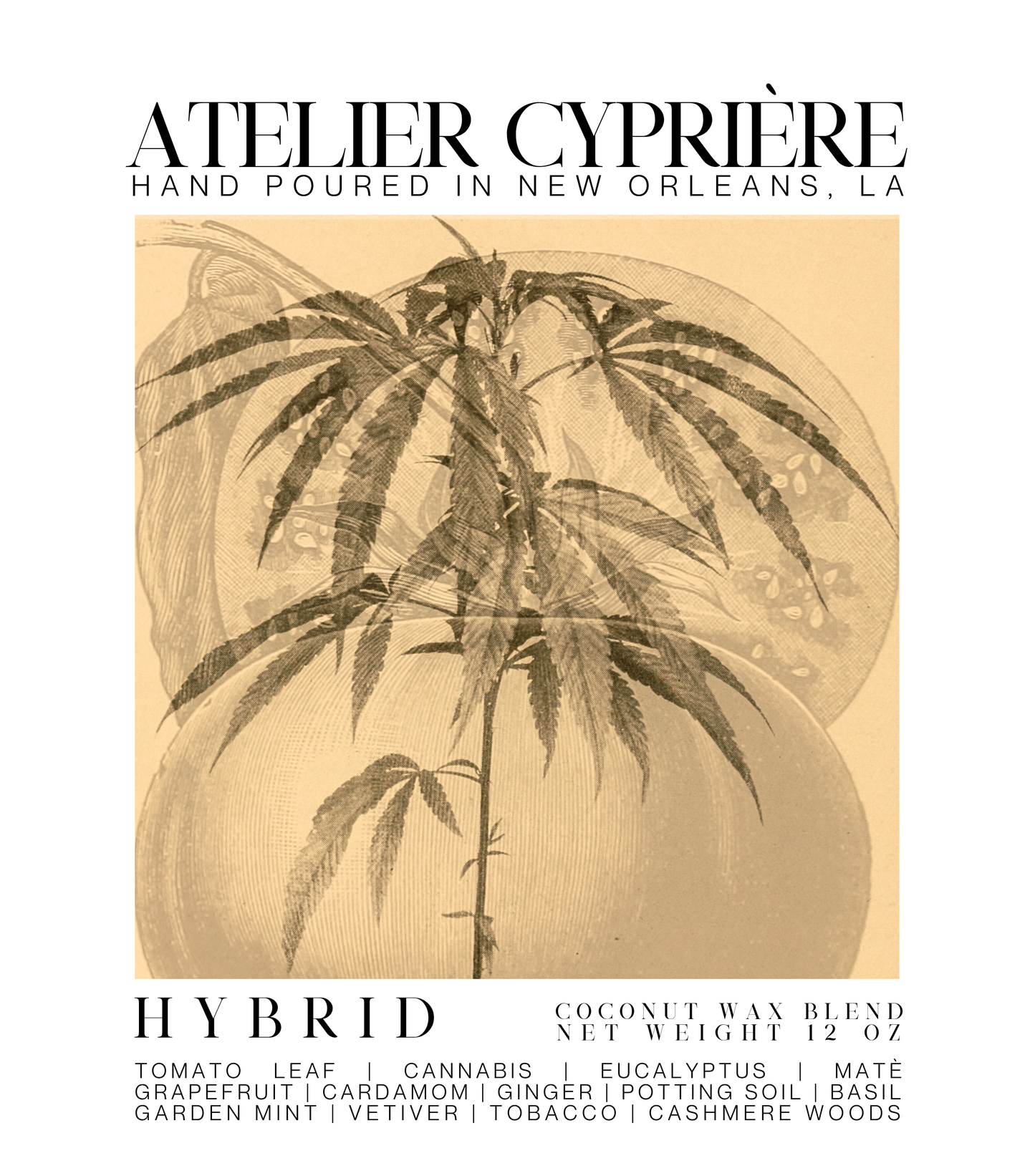 Hybrid