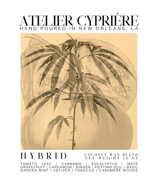 Hybrid